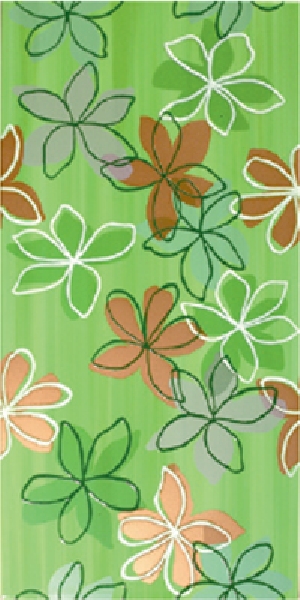 OB.RAINBOW Cenit 30x60 pistacho 17RA13C dekor