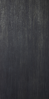 Casalgrande Padana METALWOOD SILICIO dlažba 10x60 cm čierna